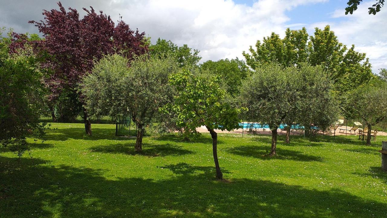 La Vecchia Fornace Pensionat Cortona Exteriör bild